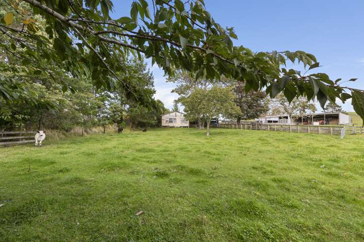 863 Mountain Road Inglewood_13