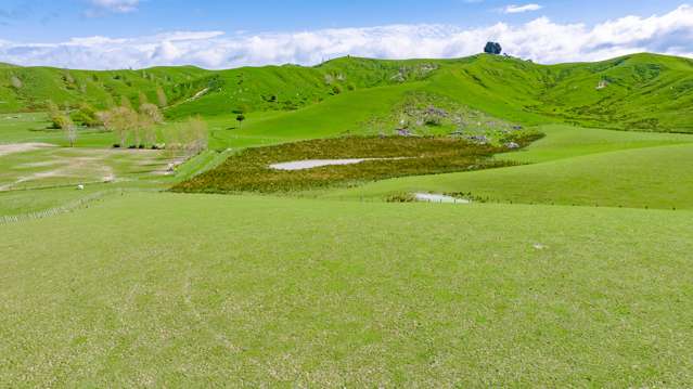 Masterton Stronvar Road Masterton_2