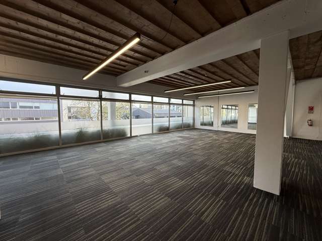 17 Maidstone Street Grey Lynn_3