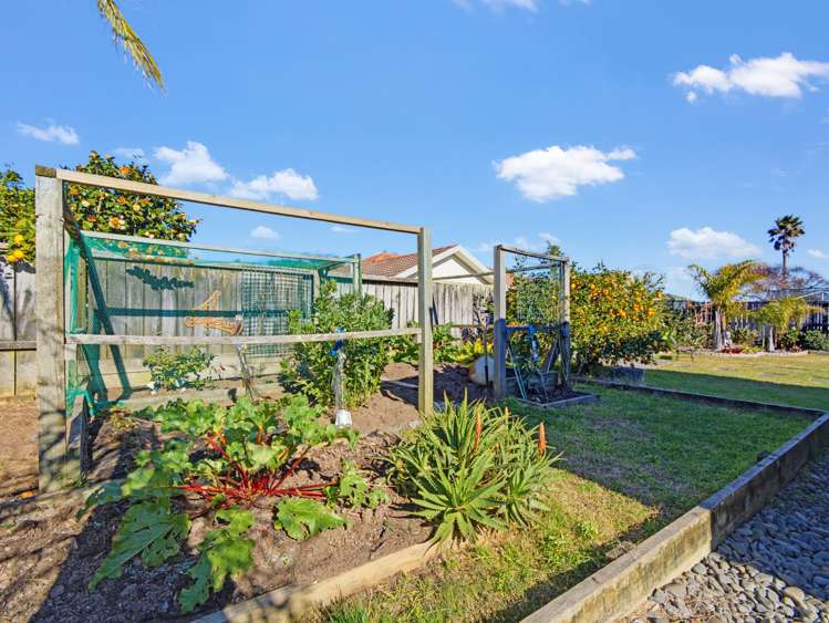9 Dalton Drive Papamoa Beach_16