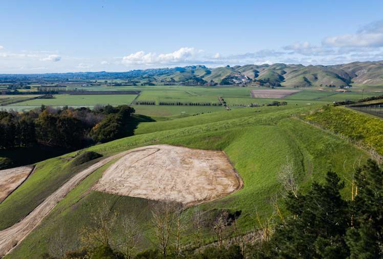 133 Enfield Drive Pakipaki_7