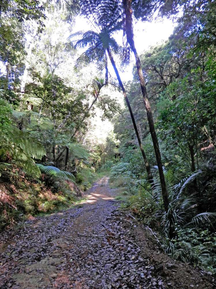 698 Whananaki South Road Whananaki_12