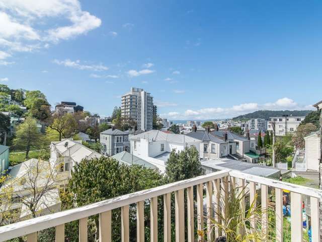 4 Boston Terrace Aro Valley_2