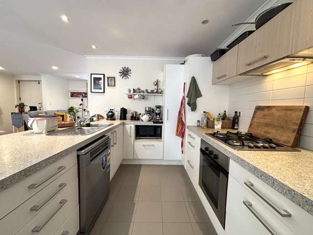 55 Bruce Pulman Drive Takanini_4