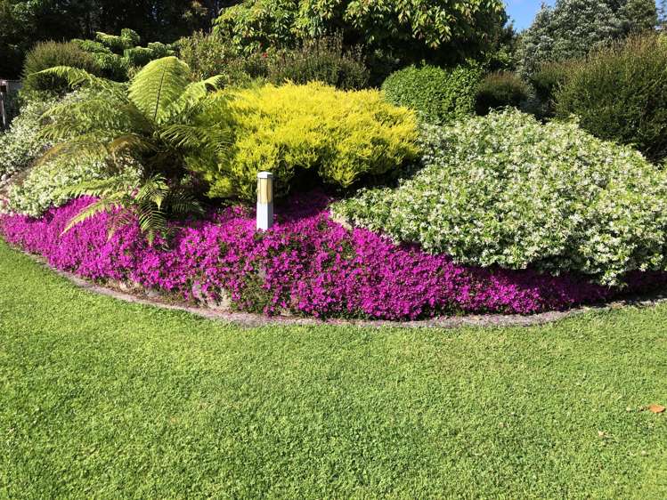 244 Lindemann Road Tahawai_35