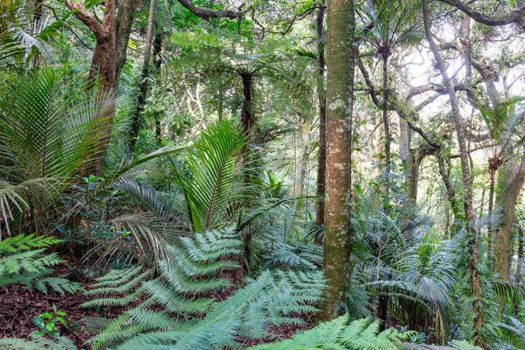 25A Parker Lane Buckland_21