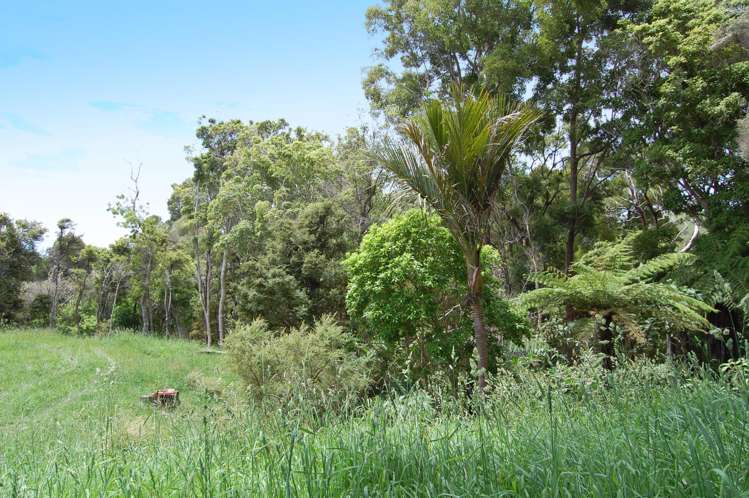 138 Rangiora Road Kaiwaka_12