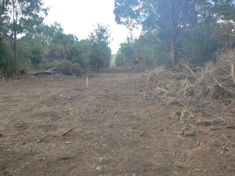 6084 Mangakahia Road Tautoro Far North Rural Property For Sale