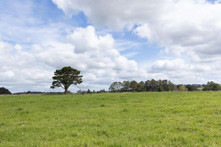 503 Puhipuhi Road Whakapara_31