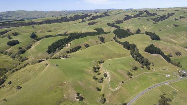 Versatility and Potential Close to Martinborough
