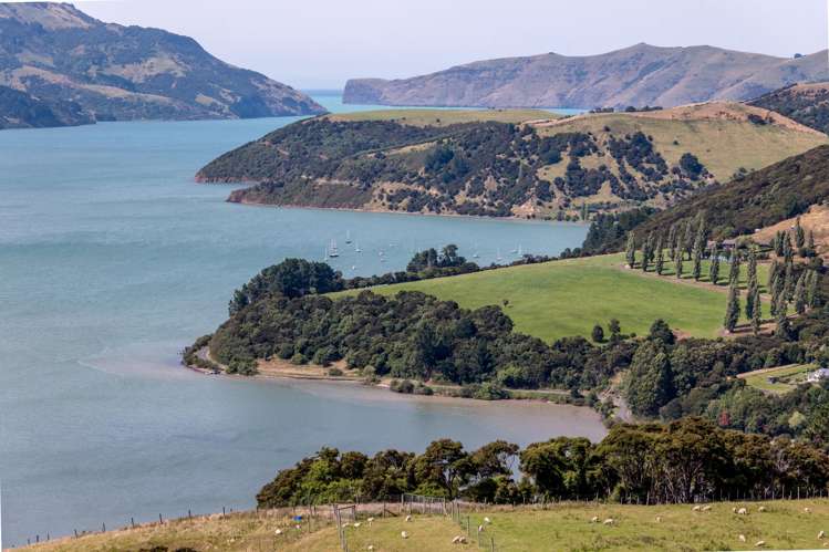 175 Barrys Bay Valley Road Barrys Bay_1