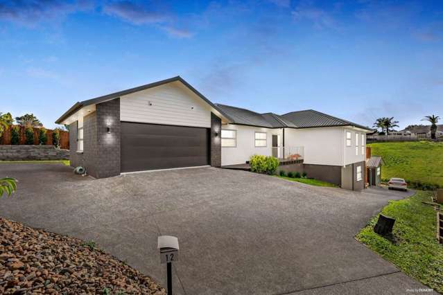 12 Ambedkar Way Pukekohe_2