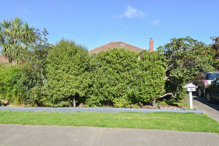 97 Miller Street Georgetown_25