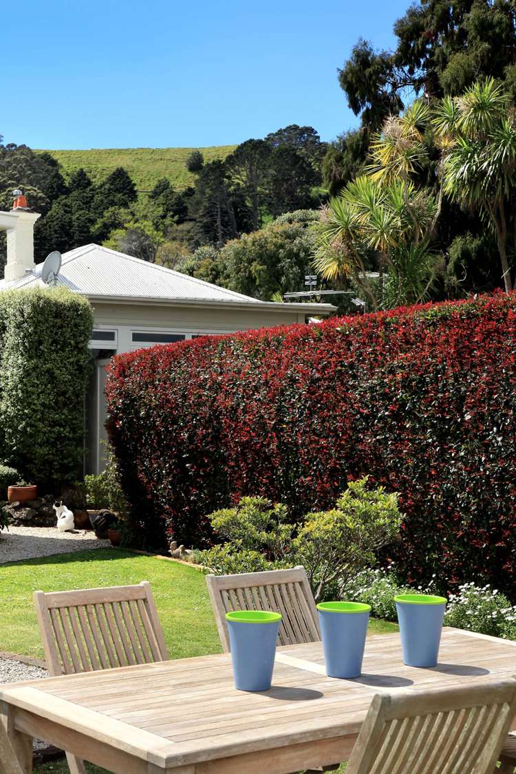 6 Valley Road Mount Eden_16
