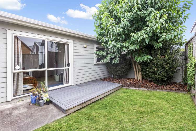 5a Littler Place Hamilton East_8