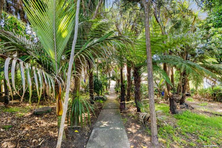 73 Walmer Road Point Chevalier_5