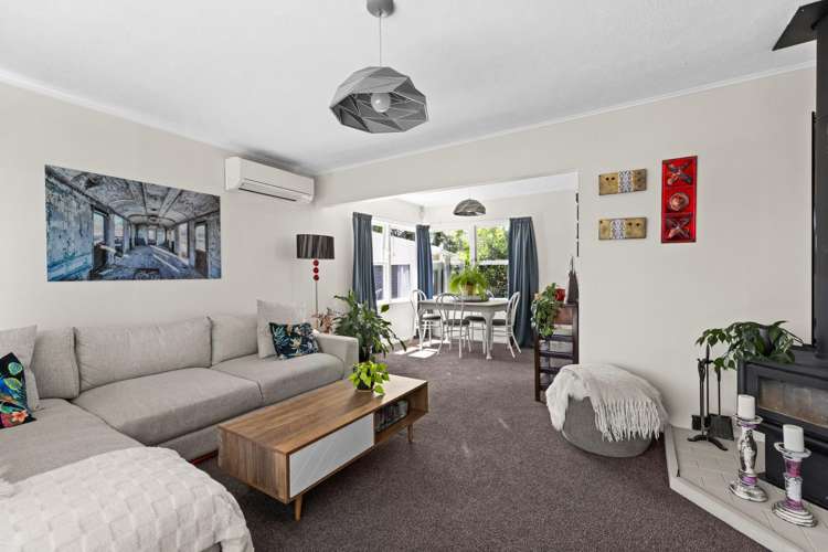 26 Salisbury Avenue Tamatea_1