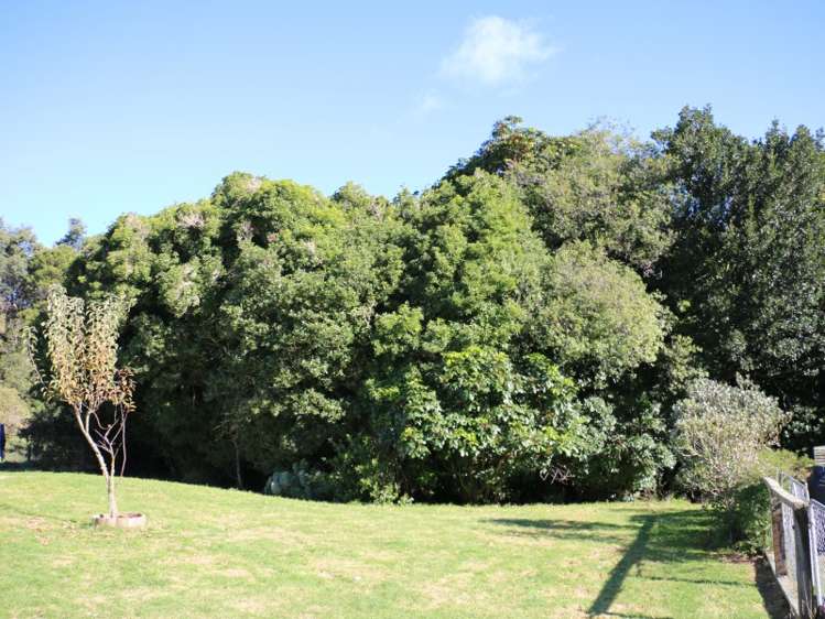 205 Rukumoana Road Hastings Country_4