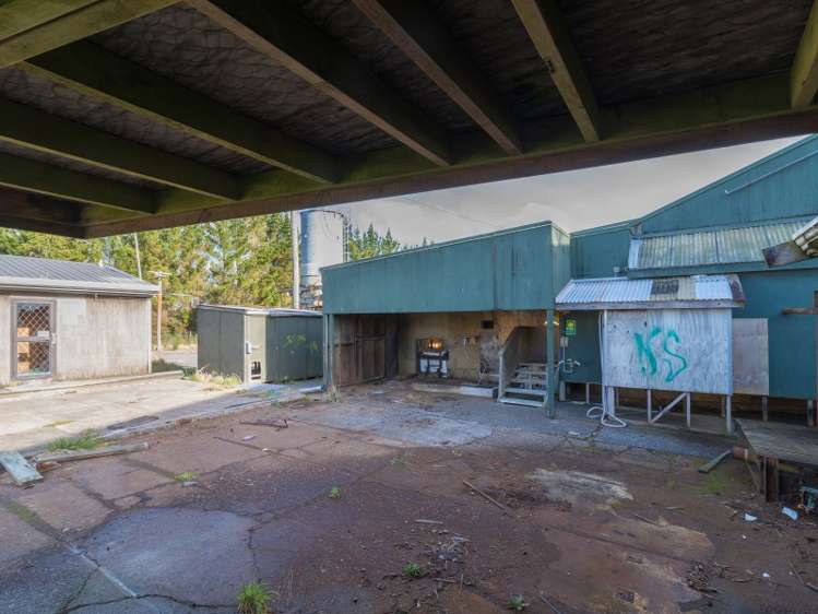 50 Mamaku Street Mamaku_24