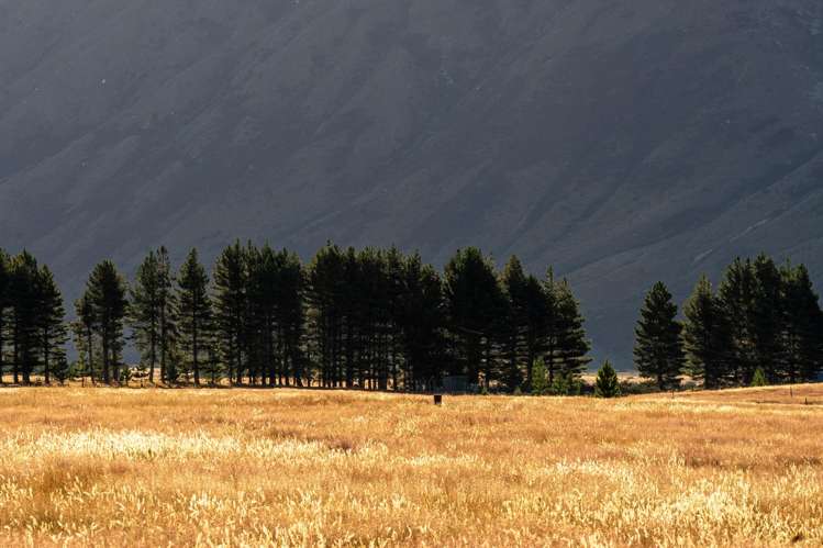 130 Manuka Terrace Twizel_12