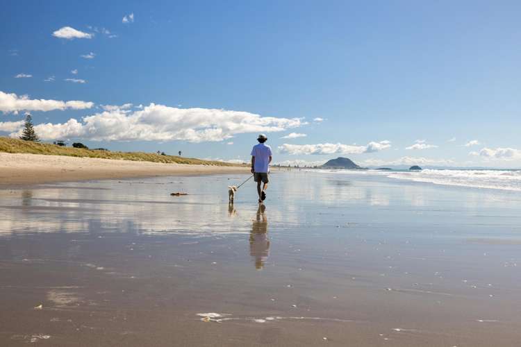60 Gloucester Road Mt Maunganui_36