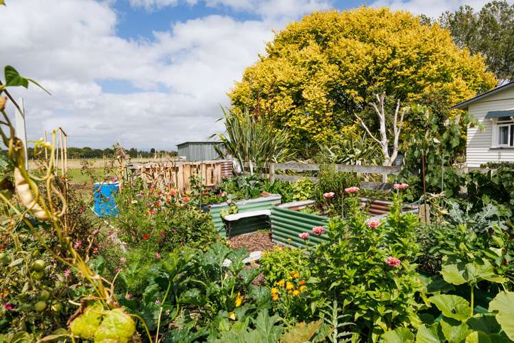 1361 Rangitikei Line Newbury Manawatu Rural Property For Sale