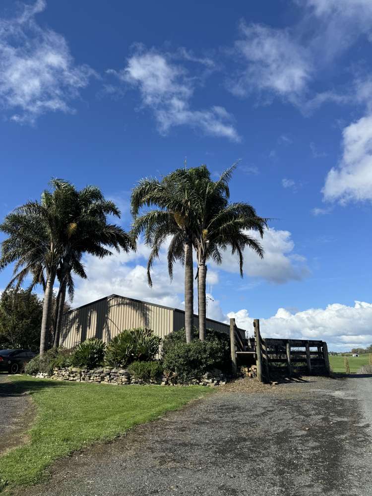 42 Laxon Road Whatawhata_5