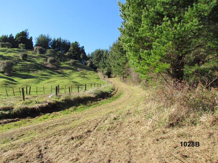 1028 A,B,C McIvor Road Rotoma_18