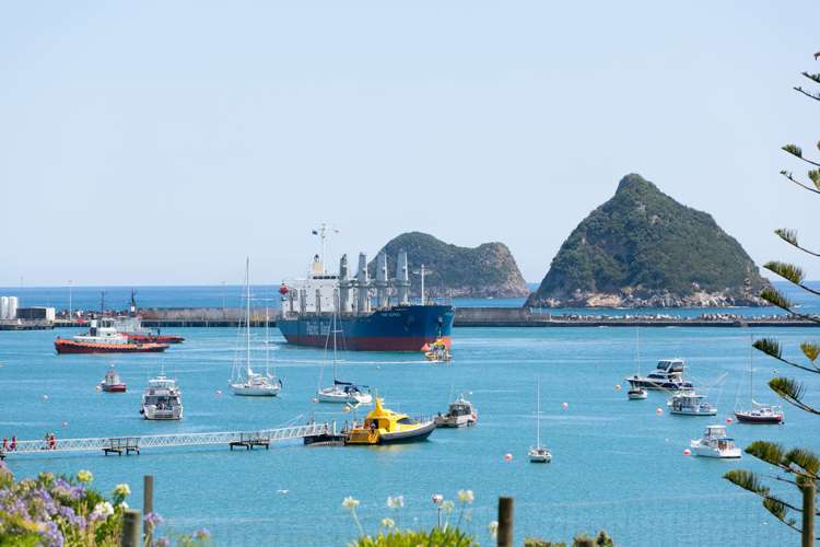 32a Birdwood Avenue Moturoa_10