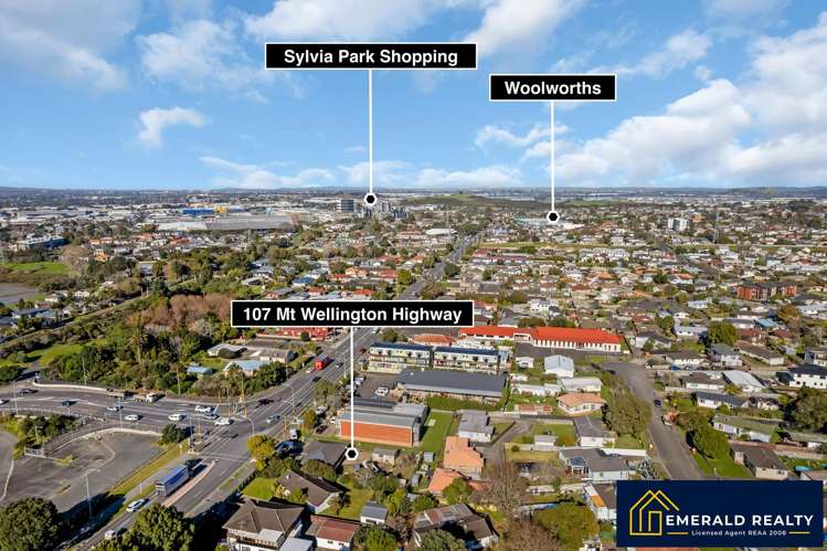 107 Mount Wellington Highway_2