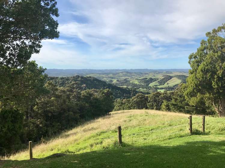 559 Mount Tiger Road Whareora_41