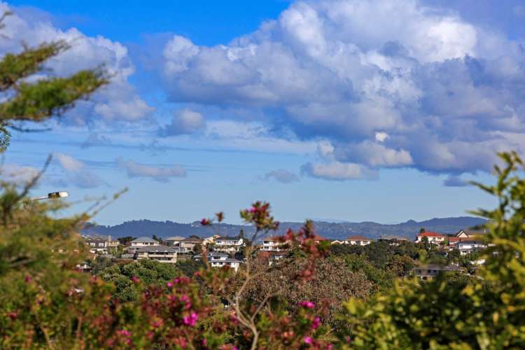 27 Chelsea View Drive Chatswood_7