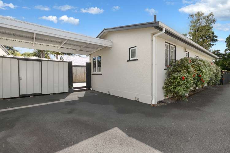 521a Devonport Road Tauranga South_15