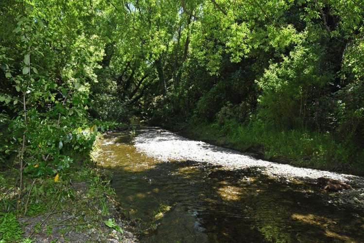 2072 Lake Ferry Road Pirinoa_8