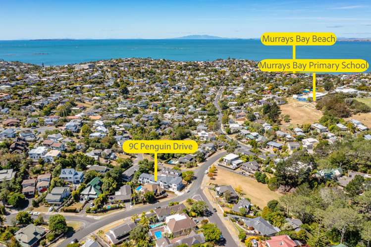 9c Penguin Drive Murrays Bay_25