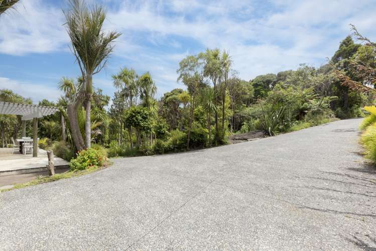 16 La Trobe Track Karekare_41