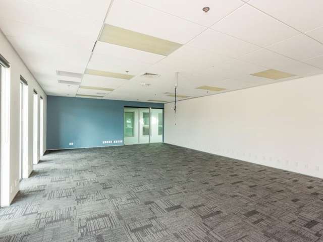 16 Normanby Road Mount Eden_2