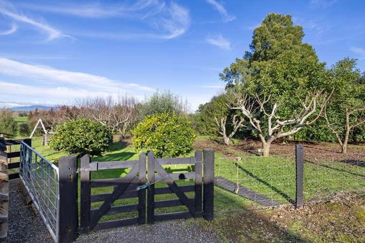 4953 Ohaupo Road Te Awamutu_43