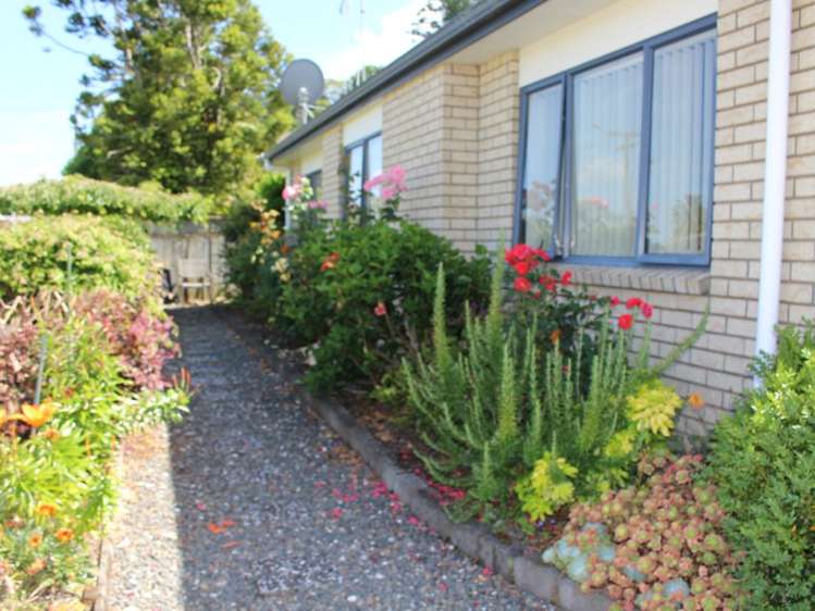 302a Heale Street Thames_20