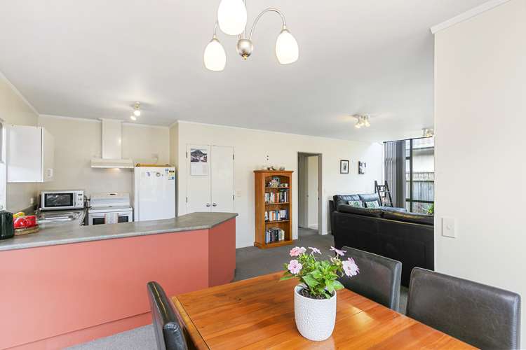 14 Macalister Place Miramar_5