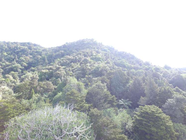 294 Munn Road Kaitaia_15