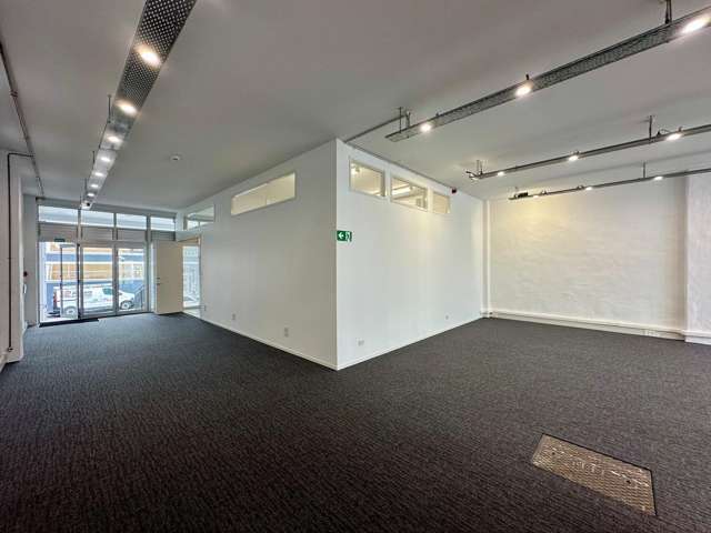 27 Dacre Street Eden Terrace_4