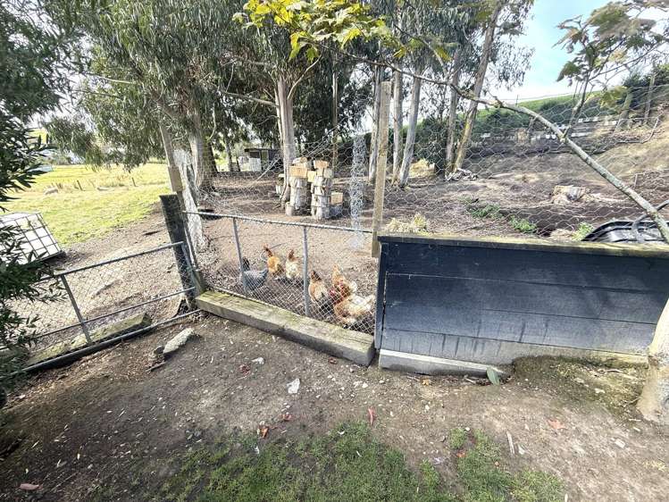 3 Scott Street Kakapuaka_24