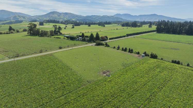 Tait Road Geraldine_12