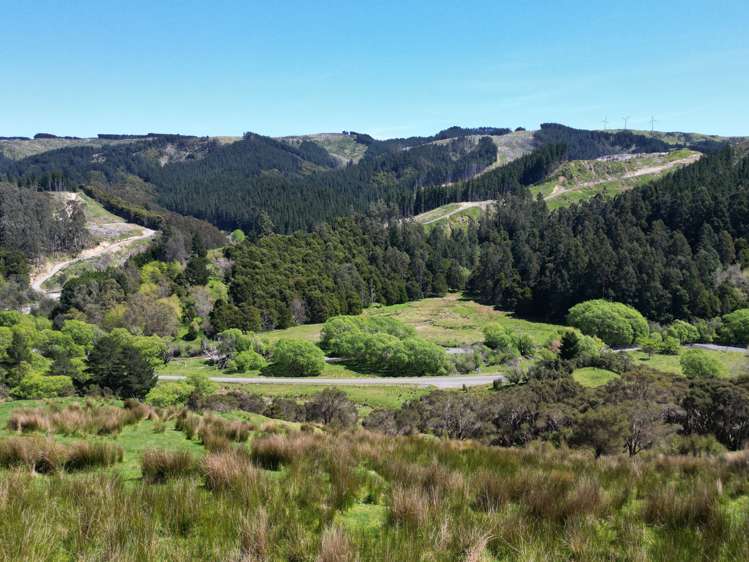 White Rock Road Martinborough_3