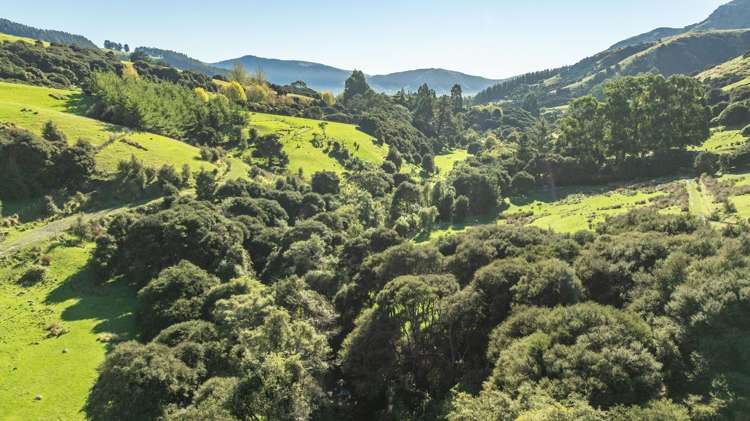 168-240 Purau Port Levy Road Purau_10