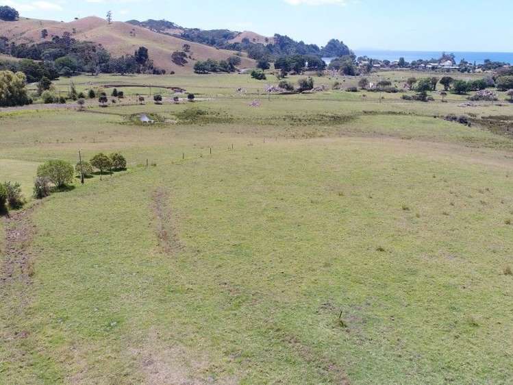151e Te Punga Road Whangapoua_9