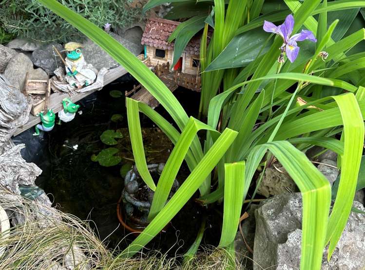 2 Meadowpark Drive Dargaville_21