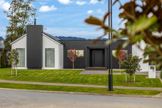 24 Phoenix palms Grove Levin_1