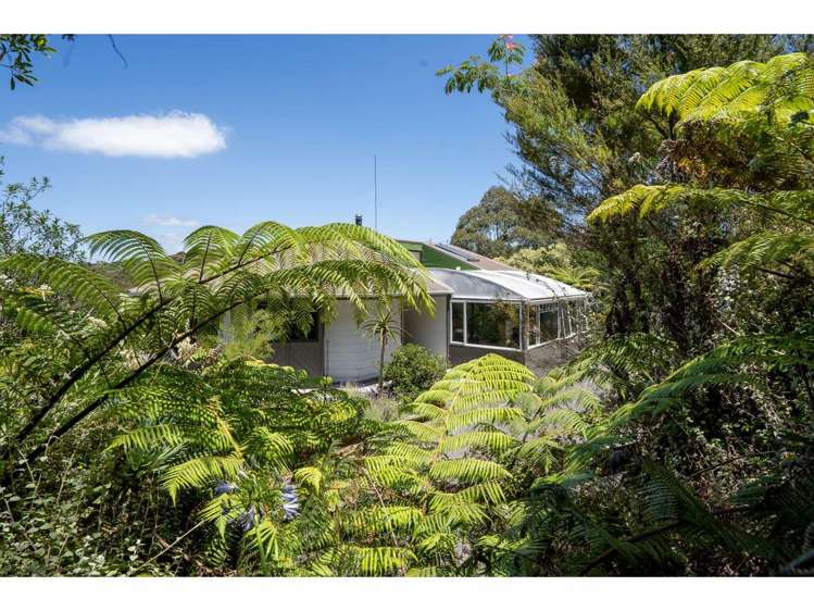 292 Opito Bay Road Kerikeri_10